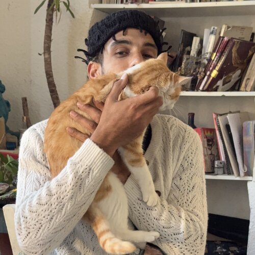 Follow Aimé Cesanges on Singulart