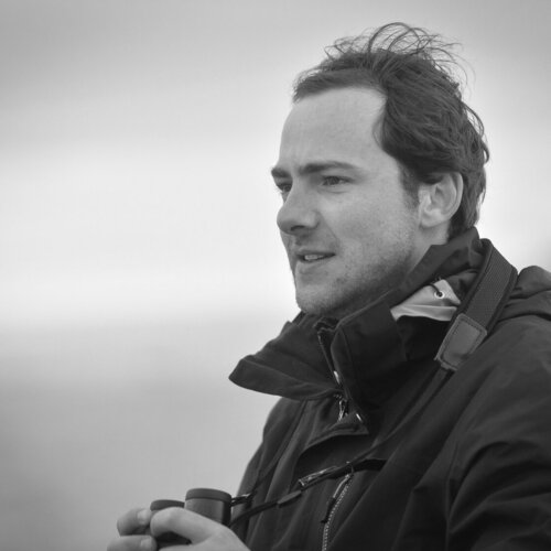Volg Frédéric Demeuse op Singulart