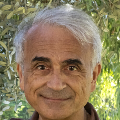 Segui Robert Bared su Singulart