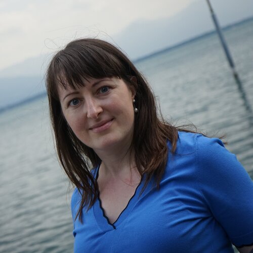 Sigue a Alena Drisner en Singulart