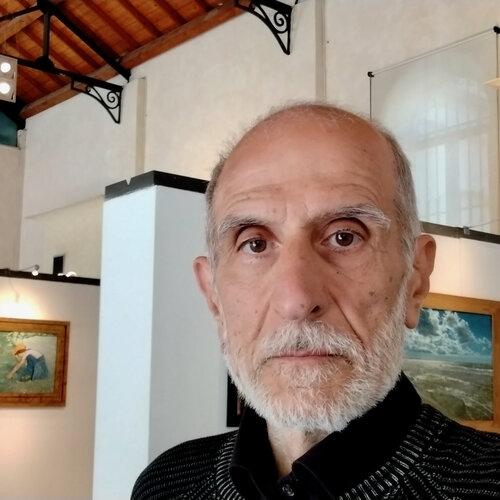 Volg Stefano Anselmi op Singulart
