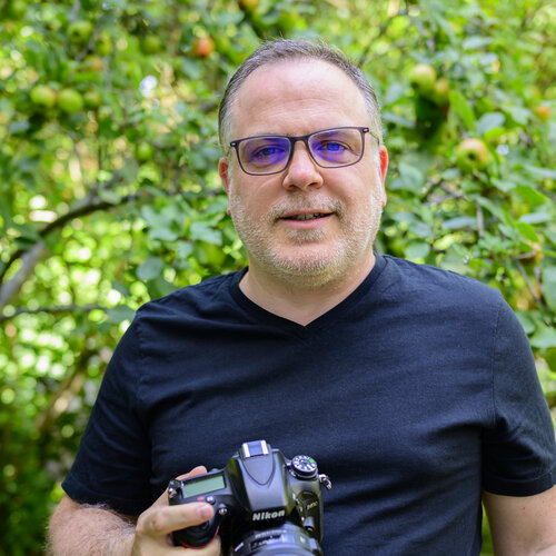 Follow Julien CHADAIGNE on Singulart