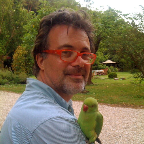 Volg Matteo Silva op Singulart