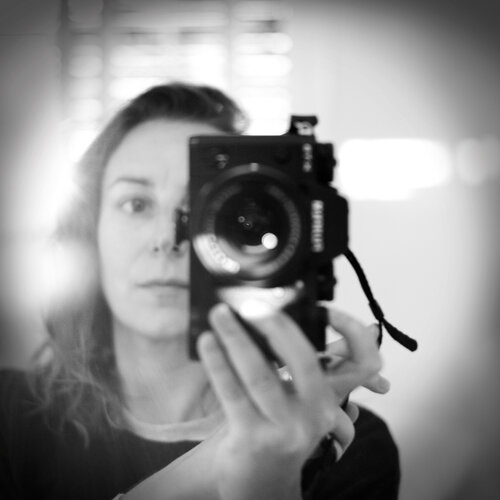 Follow Louise Reyé on Singulart