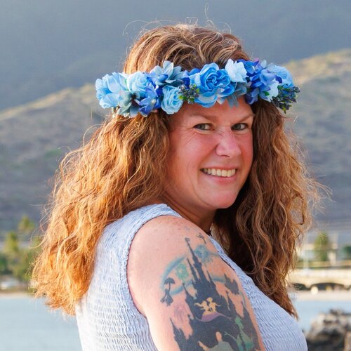 Volg Heather Hollis op Singulart