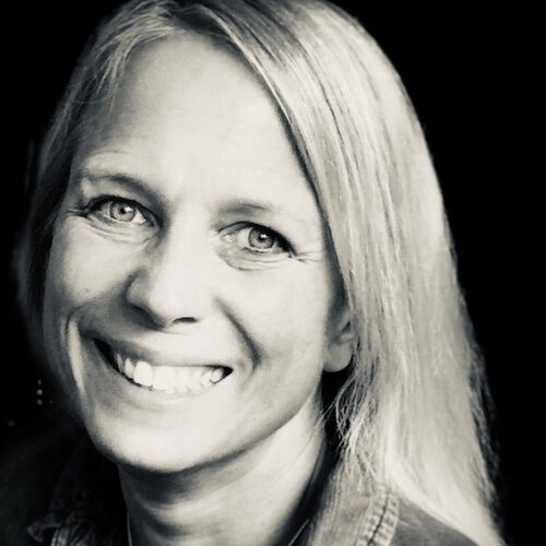 Volg Silke Ziegert op Singulart