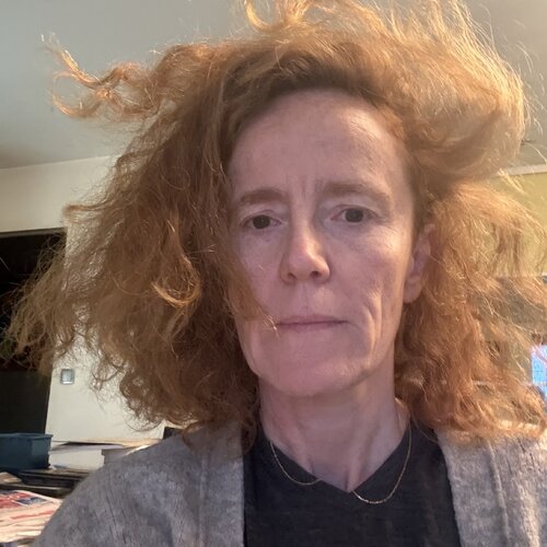 Volg Marianne Nollevalle-Lowy op Singulart