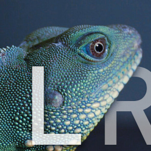 Volg Lorenzo López Ruiz op Singulart