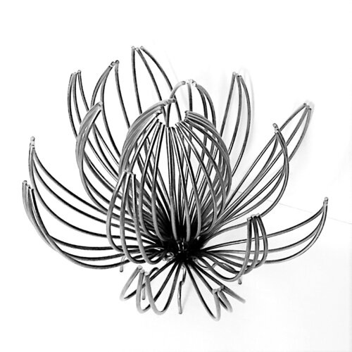 Volg Albert Dura op Singulart