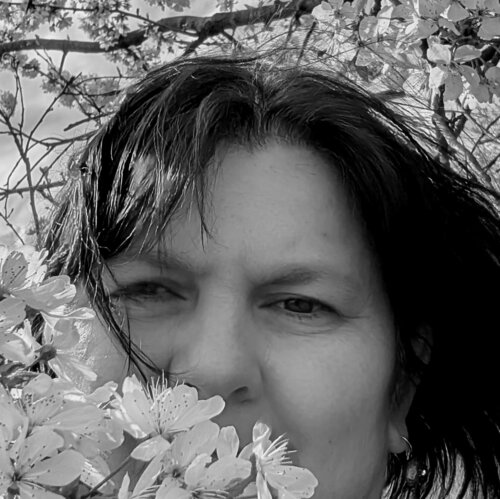 Segui Camelia Dröge su Singulart