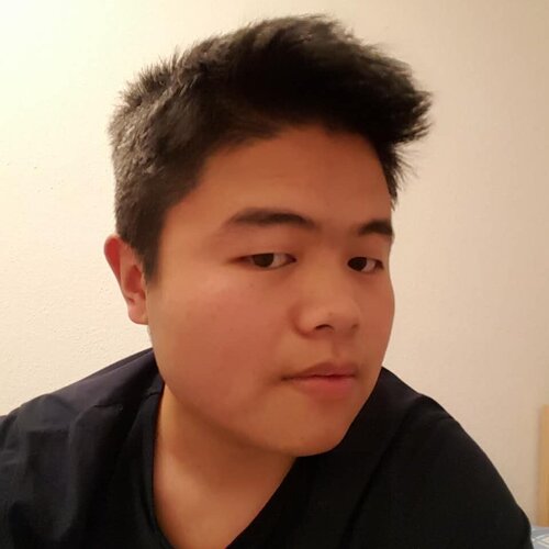 Volg Guoqiang Wu op Singulart