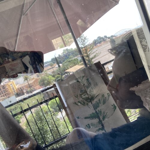 Follow Natalia Vasil on Singulart