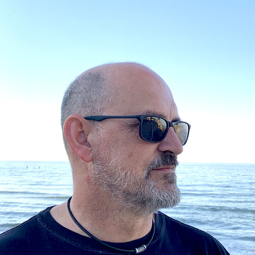Volg Josep M. Pastó op Singulart