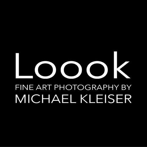 Segui Michael Kleiser su Singulart