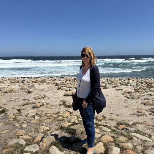 Suivez Suzana Pirtovšek sur Singulart