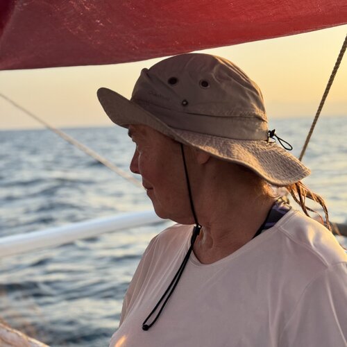 Segui Anne Goninet su Singulart