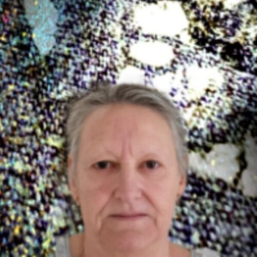 Volg Christine HILARIUS op Singulart