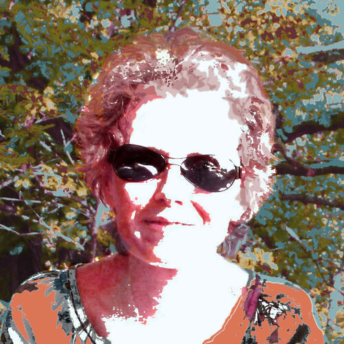 Volg ellen adriaansen op Singulart