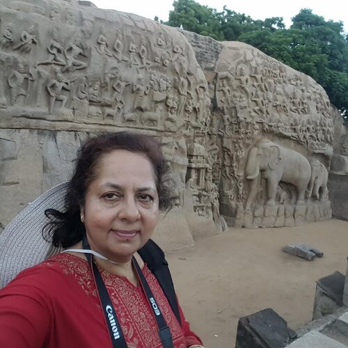 Segui Mamta Malhotra su Singulart