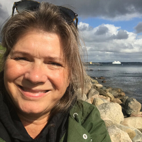 Volg Stine Lindborg op Singulart