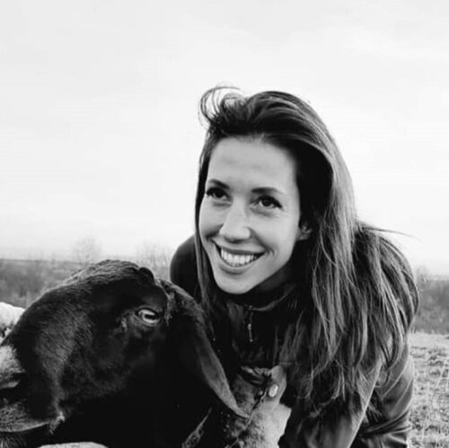 Volg Sabine Kreusch op Singulart