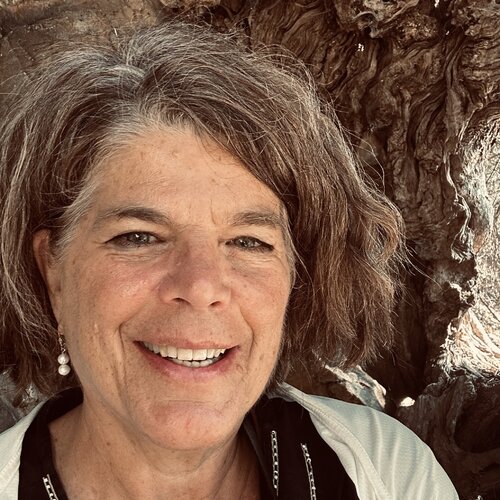 Volg Jessica Feldheim op Singulart