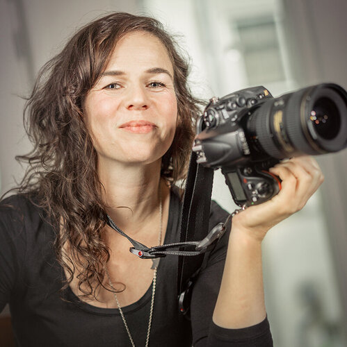 Follow Nienke Koedijk on Singulart
