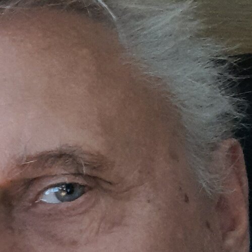 Follow Leonardo Ecola on Singulart