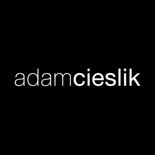 Volg Adam Cieslik op Singulart