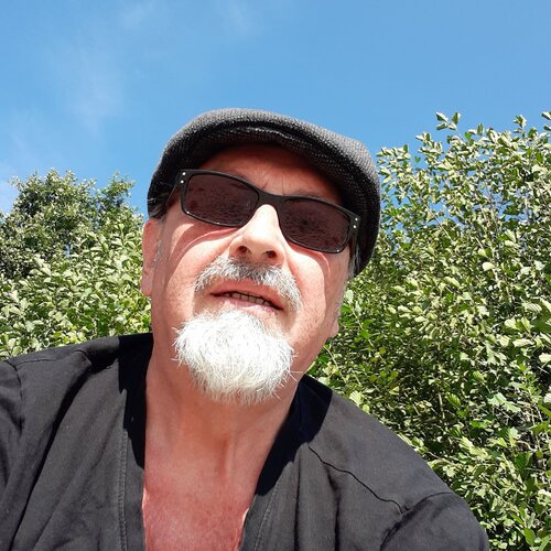 Volg Bernd Schlothauer op Singulart