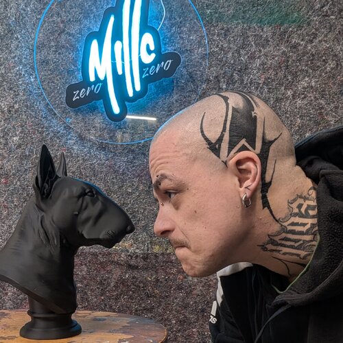 Sigue a Michele Fontana en Singulart