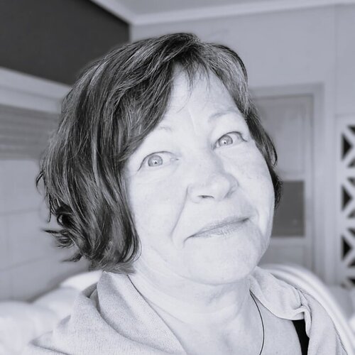 Volg Cornelia Seibt op Singulart