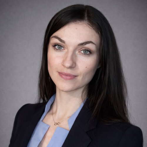 Volg Irina Debowska op Singulart