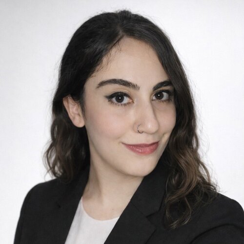 Suivez Lida Ansari sur Singulart