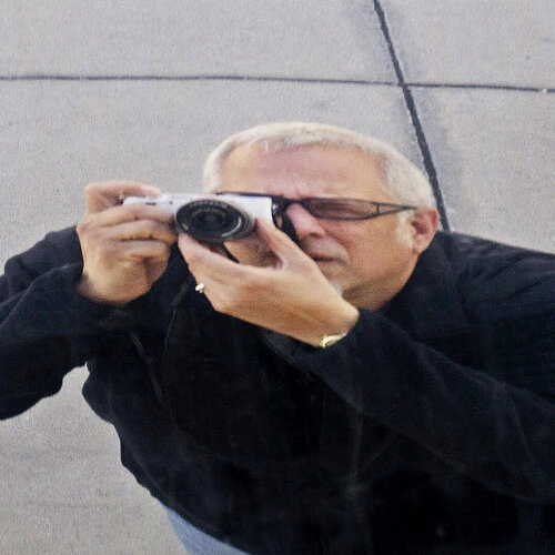 Folgen Sie David Margolis auf Singulart