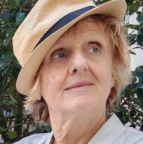 Volg Dominique Jamart op Singulart