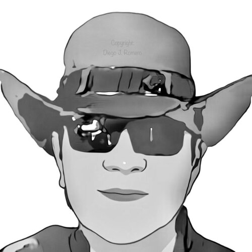 Follow Diego Romero on Singulart