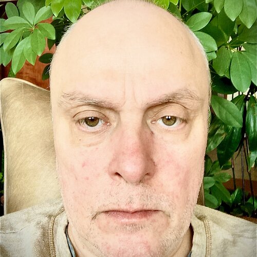 Follow Shane Hart on Singulart