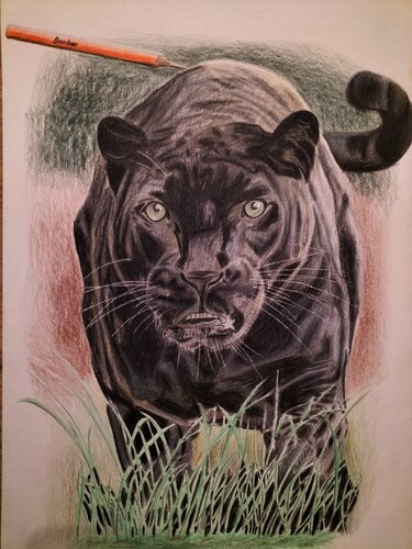 Follow Benjamin Barczak on Singulart