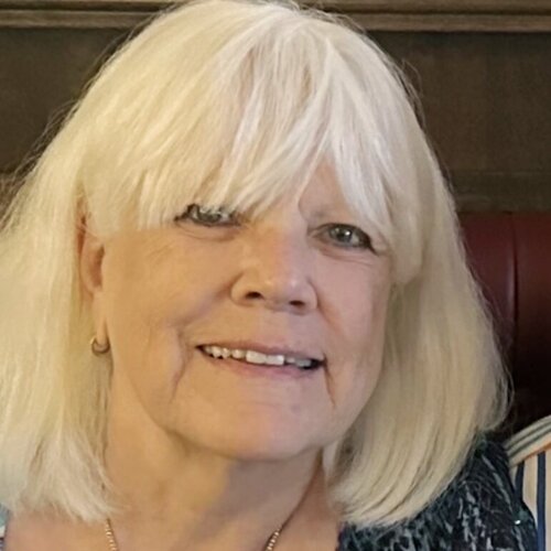 Follow Patti Bailey on Singulart