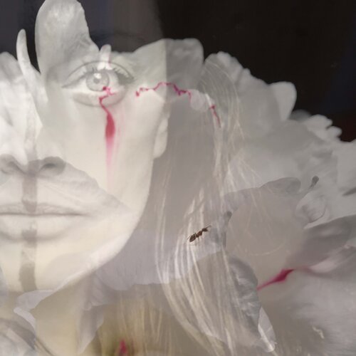 Follow Marion Osmann on Singulart