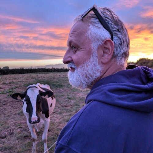 Volg Denis Dziwosz op Singulart