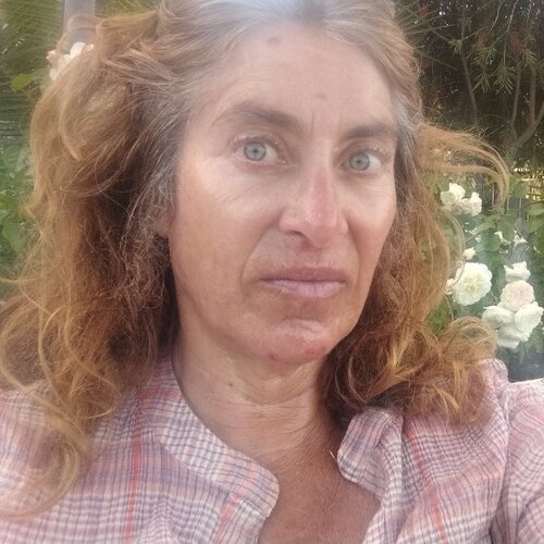 Follow Paula Lifschitz on Singulart