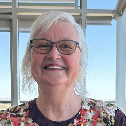 Sigue a Dianne Longley en Singulart