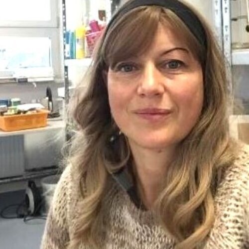 Follow Ursula Dekassian on Singulart