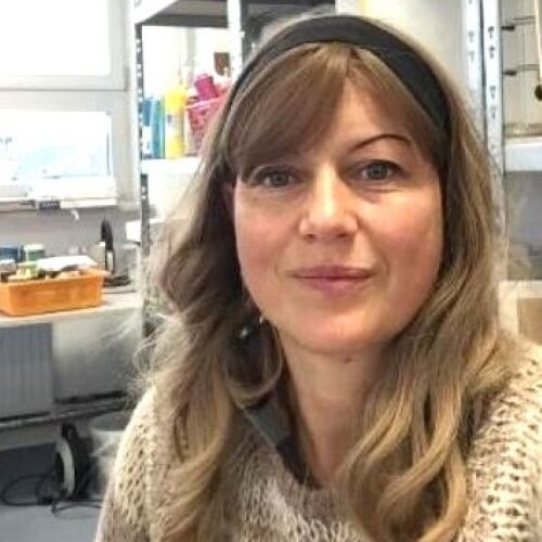 Follow Ursula Dekassian on Singulart