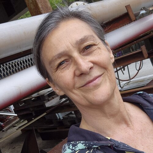 Follow Carine Van Hee on Singulart