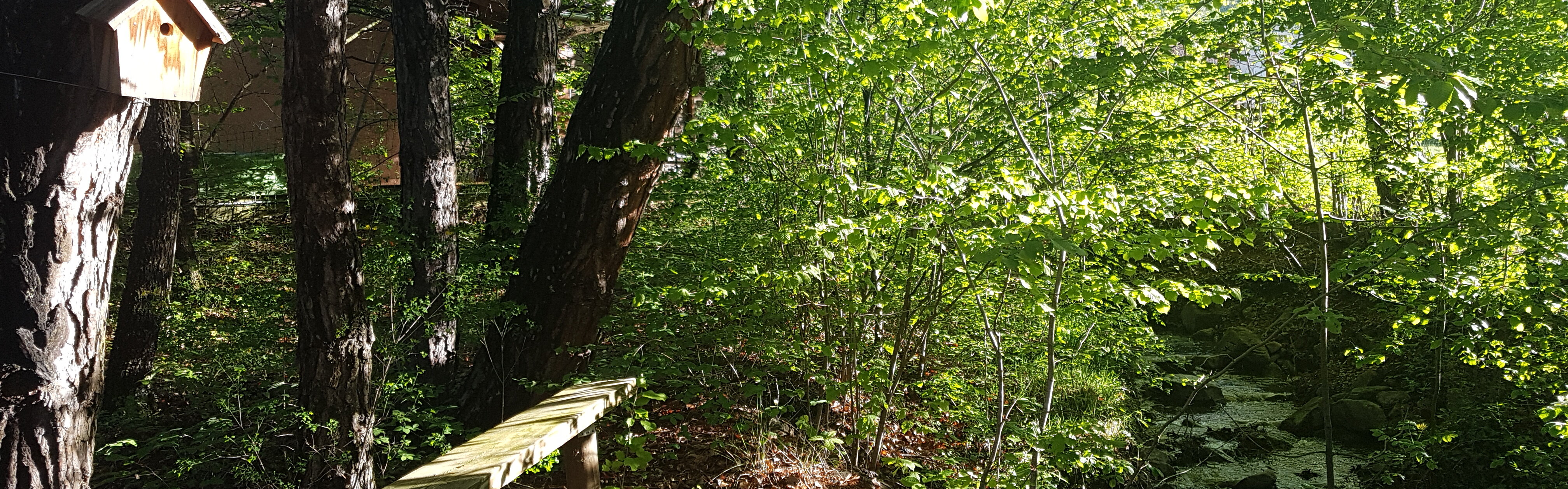 Tiempo de exposición - Laurent Bergues