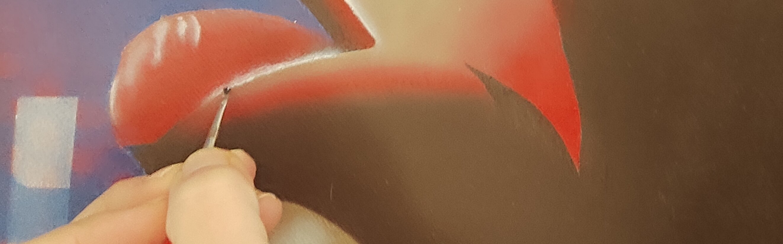 Exposición Les jolies choses d Aqui - SYLVIE CAPPE