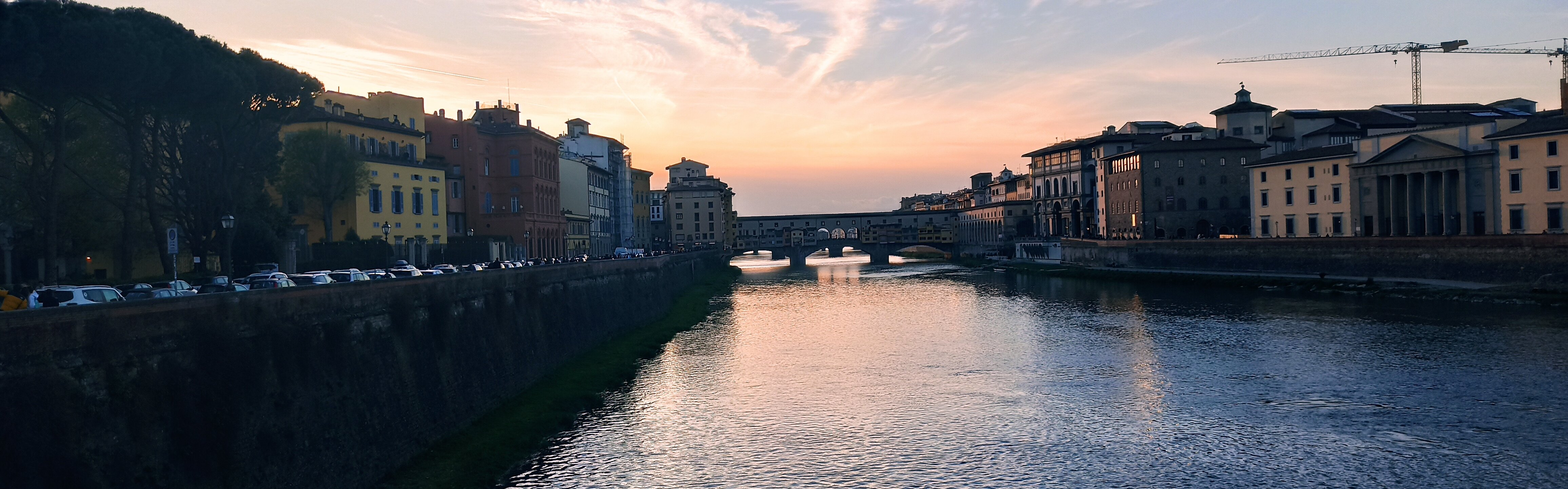 Exposition « Oiseaux magiques » - Christian Tschierske